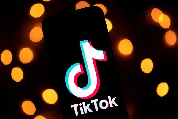 TikTok creator statistics showing earnings and engagement data
