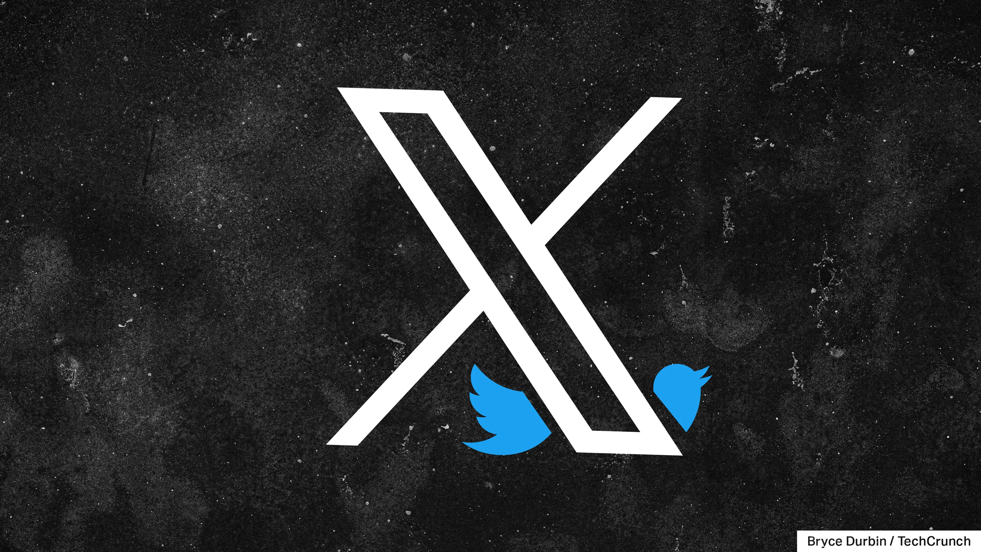 X formerly Twitter statistics for 2026 showing platform data and user insights