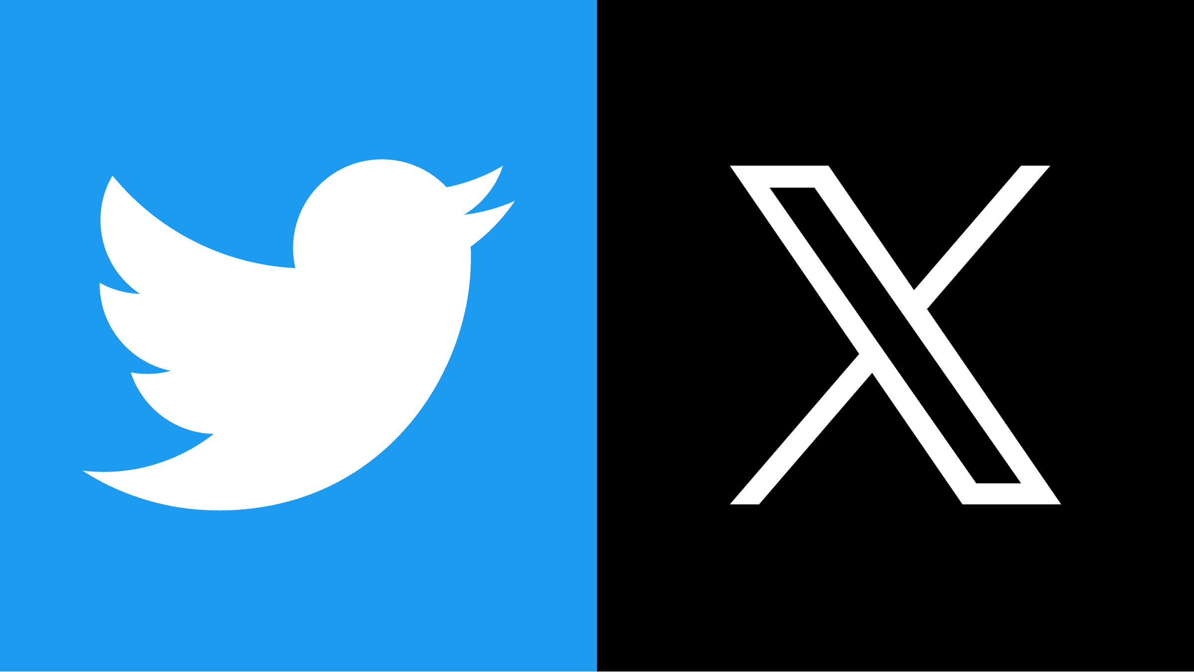 Twitter to X rebrand showing the evolution of the platform logo