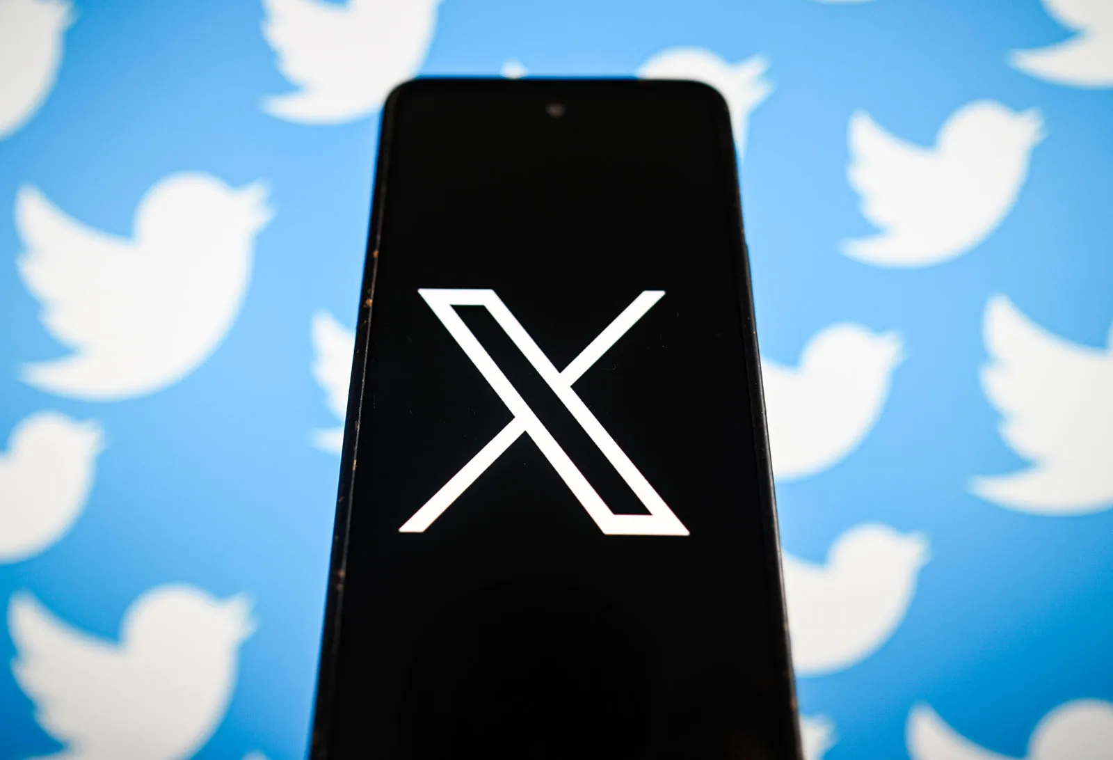 Twitter bird and X logo representing the social media platform evolution