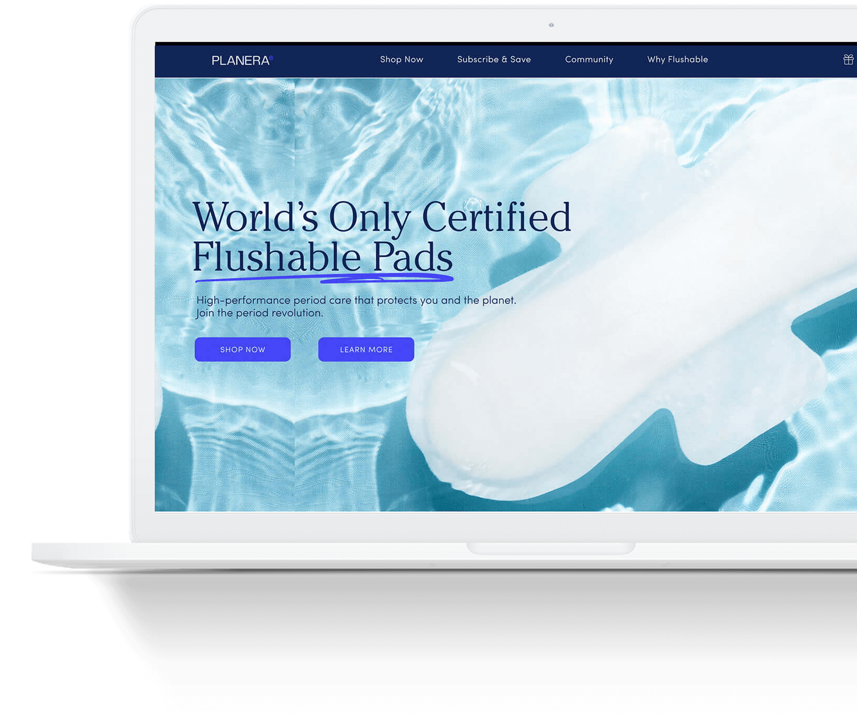 Shopify Web Design Example